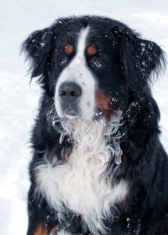 24 Anton-Winter-IMG_5938.jpg
